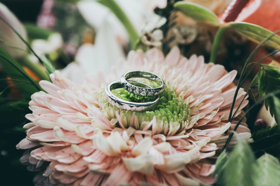 Rings on flowers