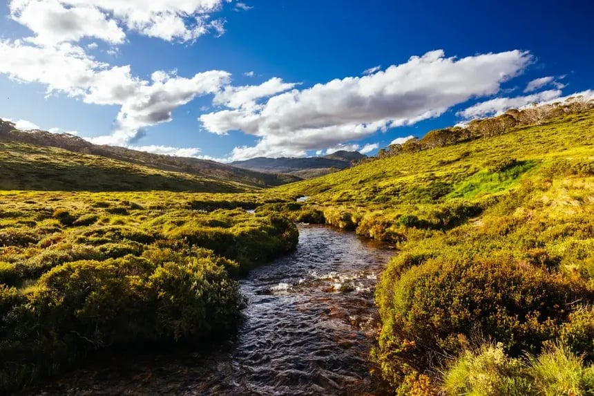 mountain river