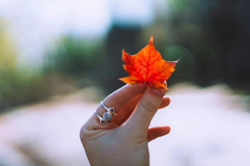 woman holding leaf
